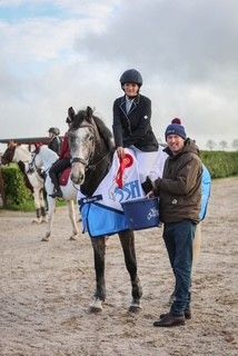 16.3hh Grey IS ex H by Ulysses MS2 dam Jolenes Clover ex Clonee Clover photo 2