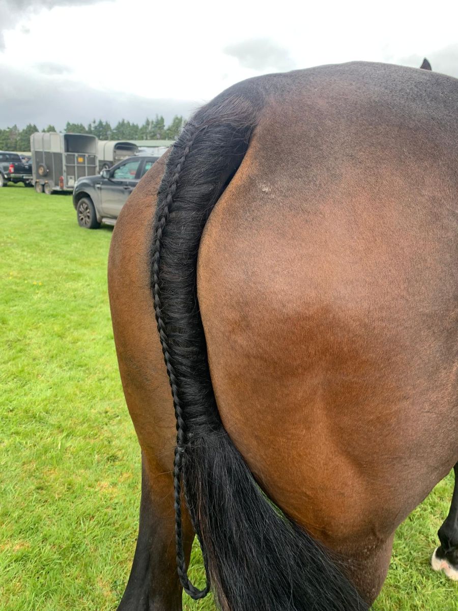 A breeders dream photo 3