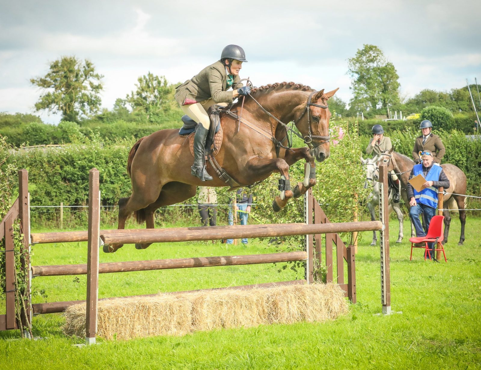 16h2 ID x TB Traditional Irish liver chestnut mare