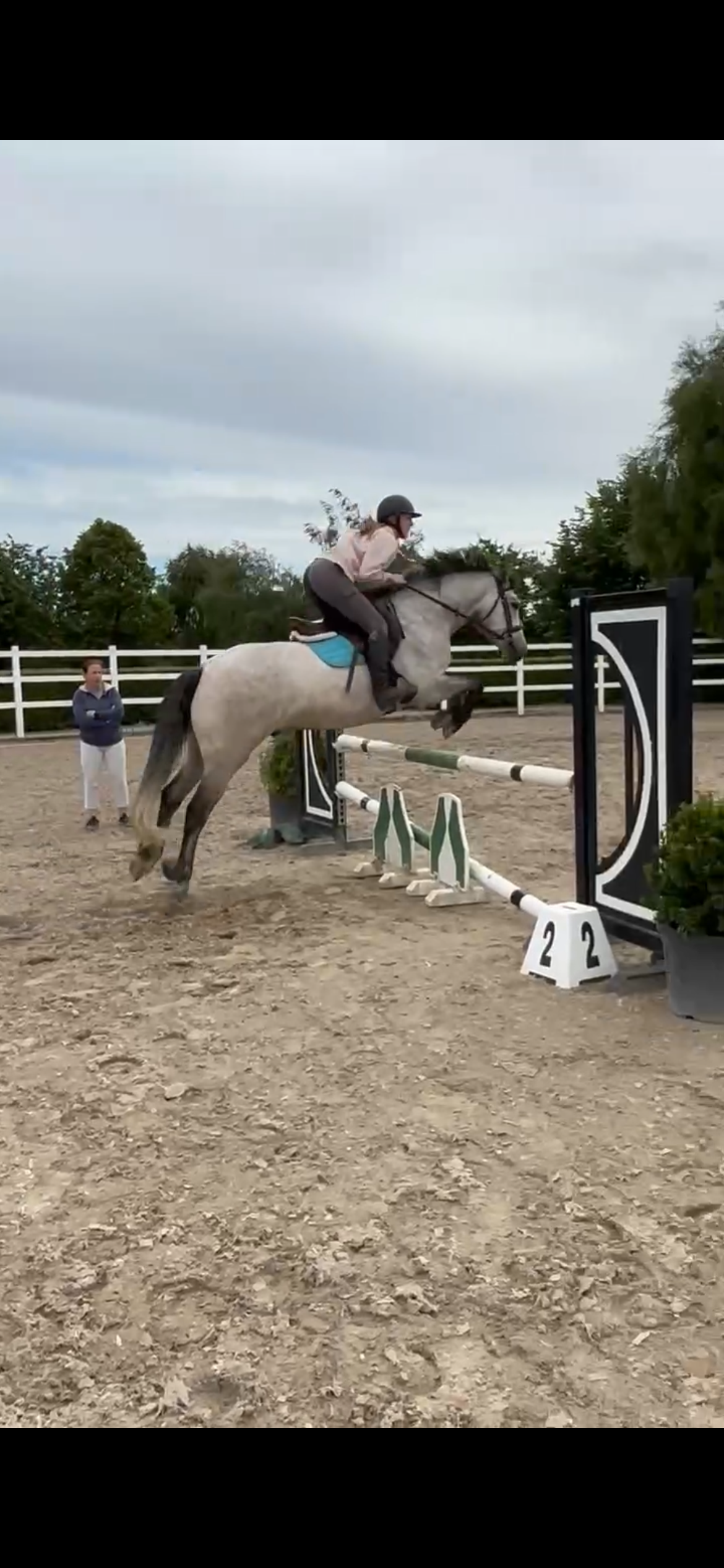 15hh class1 4yr dun Connemara gelding photo 2