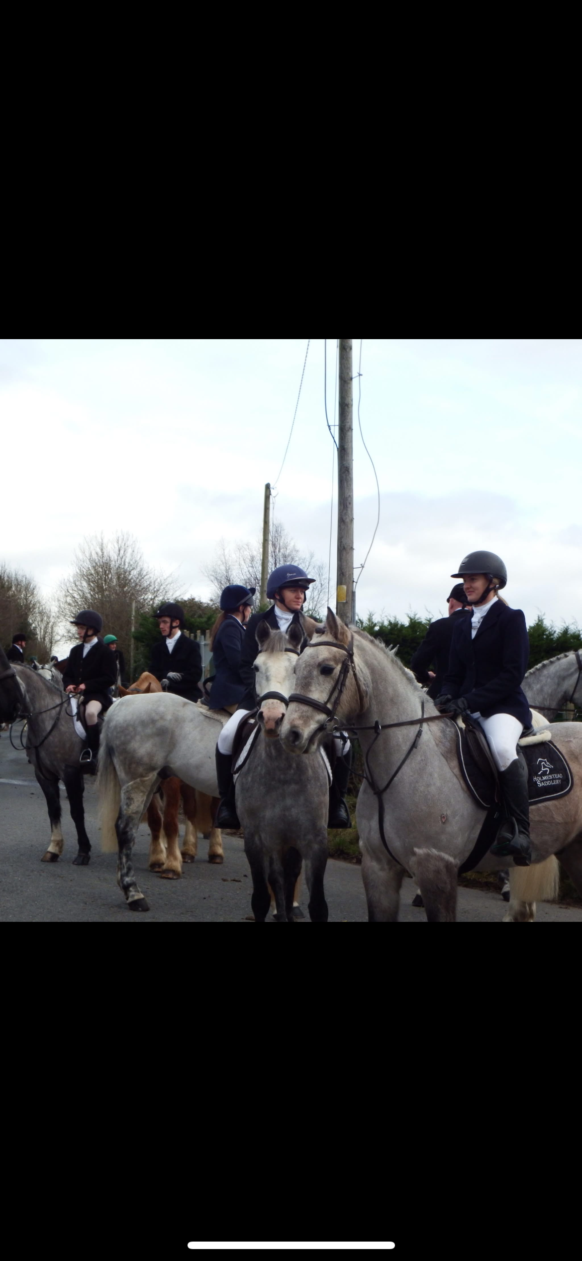 15hh class1 4yr dun Connemara gelding photo 4